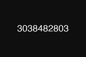 3038482803