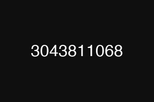3043811068