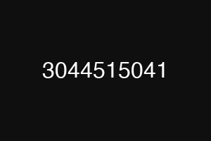 3044515041