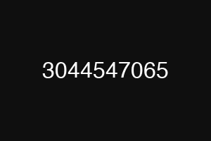 3044547065