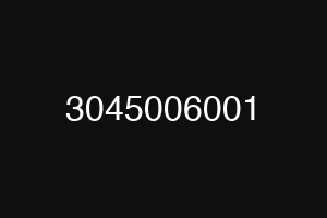 3045006001