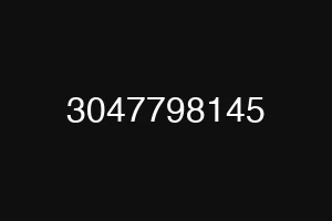 3047798145