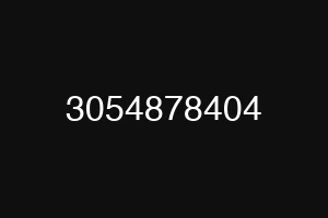 3054878404