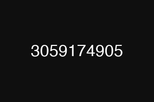 3059174905