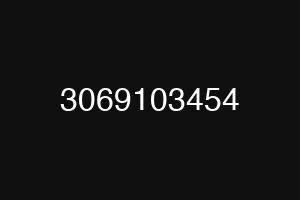3069103454