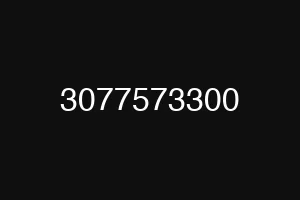 3077573300