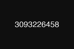 3093226458