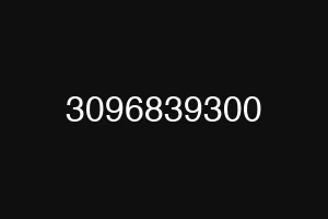 3096839300