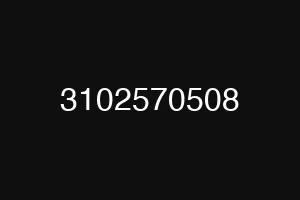 3102570508