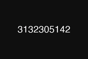 3132305142