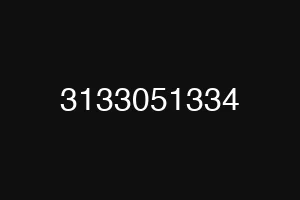 3133051334