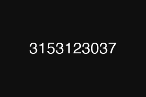 3153123037