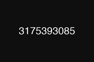 3175393085
