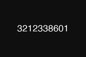 3212338601