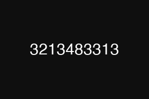 3213483313
