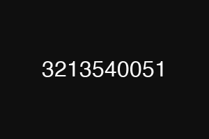3213540051