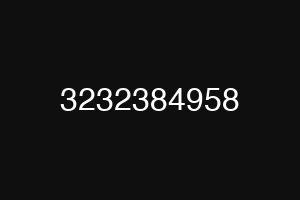3232384958