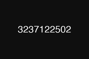 3237122502