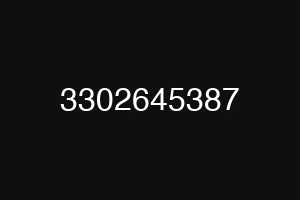 3302645387