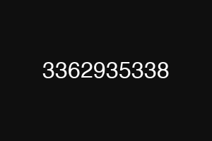 3362935338