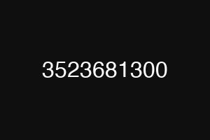 3523681300