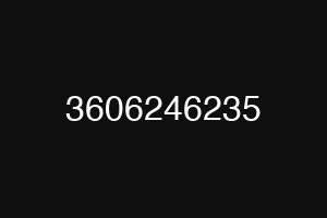 3606246235