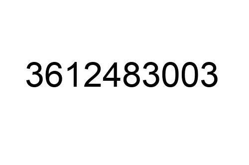 3612483003