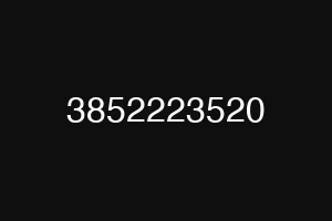 3852223520