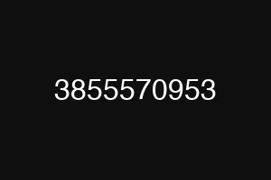 3855570953