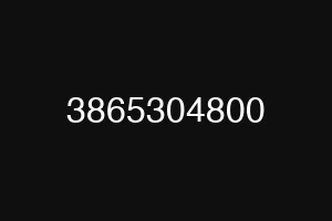 3865304800