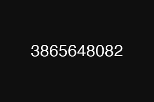 3865648082