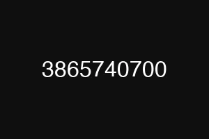 3865740700