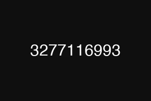 3277116993