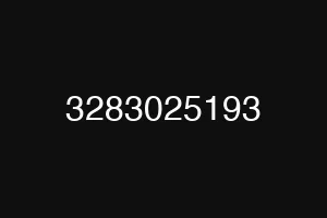 3283025193