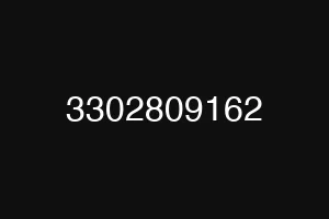 3302809162